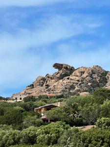 Casa Di Gio - Sardinia - Porto Mannu img25