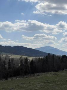 Domek z widokiem, Beskid Żywiecki, "Nad Pewlicą"