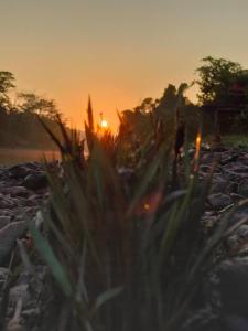 Khlongsaeng farmstay