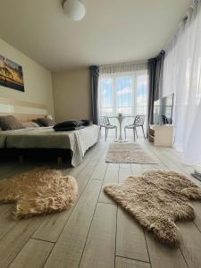 Apartament 25 Czarna Góra nr 5 Ischgl
