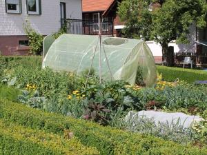 1 Siefertshof Comfortable holiday residence