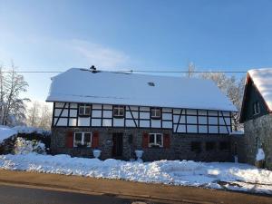 Eifel Oasis Comfortable holiday residence
