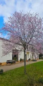 Cellino Hotel Prieros - Unterspreewald