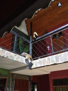 Manakin Lodge, Monteverde