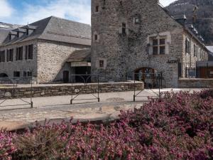 Appartement Saint-Lary-Soulan avec Piscine et Sauna - 6 pers - FR-1-296-432