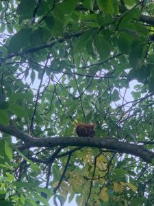 Ferienwohnung am Netzener See