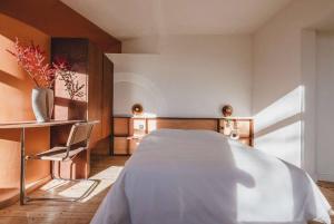 Your colourful Antwerp Oasis