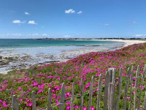 La Maison Des Sables Blancs - 4-star hotels in Loctudy