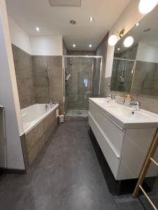 Appartements Le cosy de la Dent du Chat - Classe 3 etoiles - Hyper centre Aix les Bains : photos des chambres