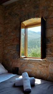 Studio Tsiliviani