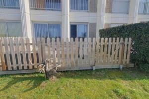 Appartement front de mer - 6198