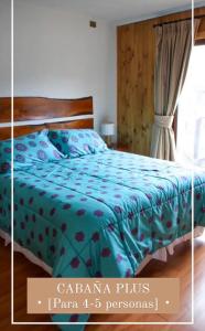 Complejo Loncopangue Lodge