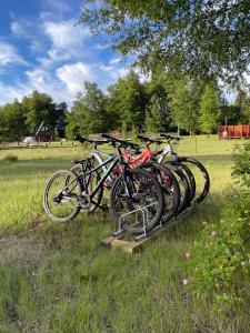 Complejo Loncopangue Lodge