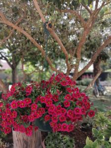 Lovely Sea View House 2 in Malinska Island Krk