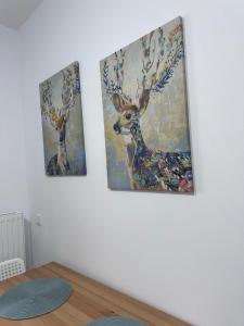 Best Value Studio, Panoramic View