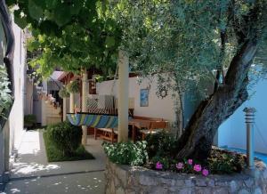 Gala’s Miracle Garden