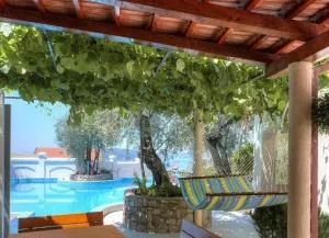 Gala’s Miracle Garden - Rustovo