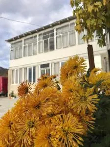 Guesthouse _ DAVITI - Khoni