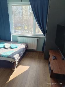 Apartament Magnolia