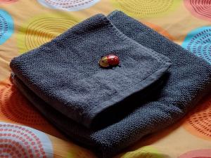 Berlin - Potsdam - Fläming