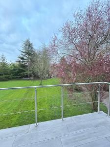 Appartements Les Bambous : photos des chambres