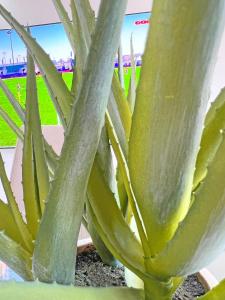 Lujo en la playa. Parking Gratis