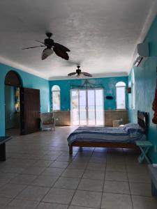 House of colors Casa de los colores