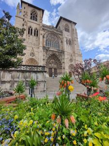Cosylocation - Vue Théâtre AntiqueJardin de Cybèle