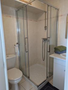 Appart vue mer-au pied du chemin de randonnée " Bassan"