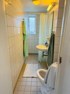 Cozy Apartment Aarhus C