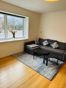 Cozy Apartment Aarhus C