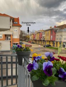 Happy Seasons Szoboszló