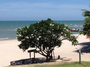 Cha-Am Beach Club