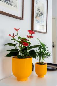 Campo de Ourique Modern