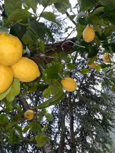 La Perla del Mare Apartment Vietri sul Mare - Albori