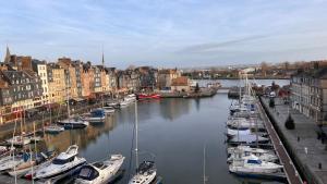 Appartements Studio Le nid de pie : photos des chambres