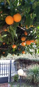 Elisa Holidays Apartments