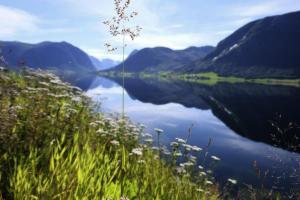 Jølster Lake View