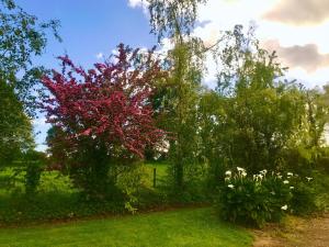 Maisons de vacances Gite Loiron-Ruille, 4 pieces, 6 personnes - FR-1-600-91 : photos des chambres