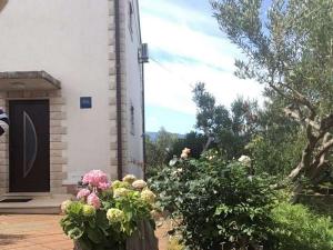 Apartments with parking space Sucuraj, Hvar - 22239 - 4hvězdičkové hotely ve městě Sućuraj