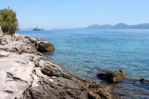 Apartments with parking space Sucuraj, Hvar - 22239