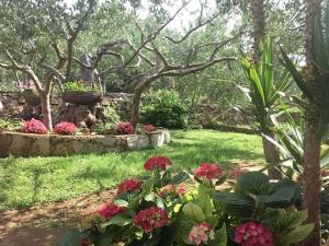 Apartments with parking space Sucuraj, Hvar - 22239