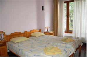 Twin Room room in Stivan Iskar Hotel