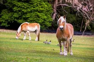 Valla Beach Top Spot - Urunga