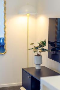 Explore from 8 Wilmer: Upper Level Cozy Studio