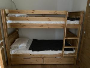 Appartements Les Saisies - Appartement 6 pers, WiFi, Parking, equipements neufs - FR-1-293-398 : photos des chambres