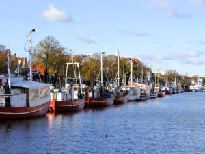 On the old river Modern retreat