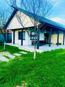 Tacchini's Home - Suhaia