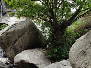 Cosmic Mud House Kanthalloor