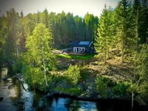 Water front scandinavian Forest View with no neighbors - Magnor